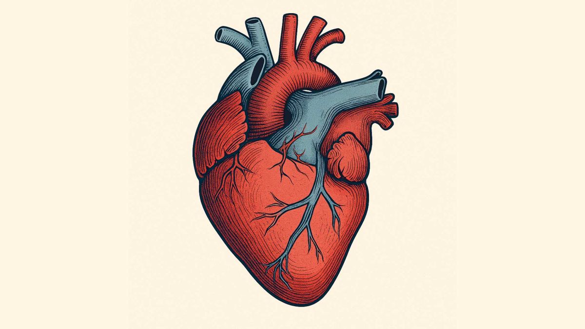Vortrag Happy Heart