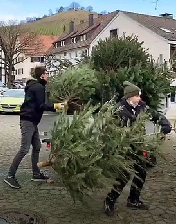 Tannenbaumaktion 2022