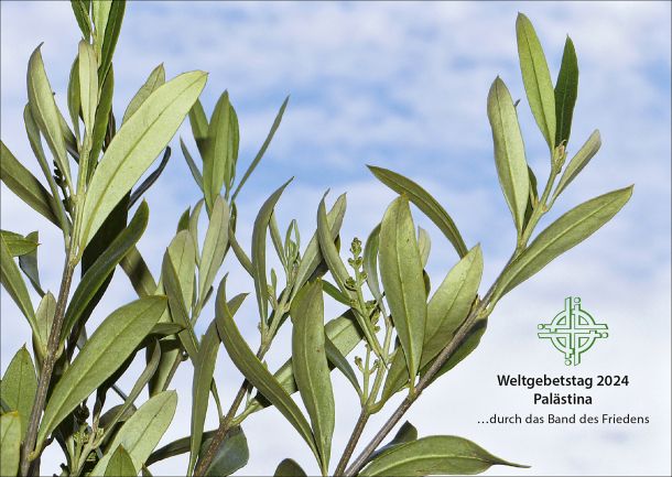 Olivenzweigmotiv WGT 2024